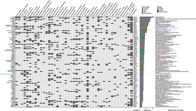 Microenvironment Remodeling and Subsequent Clinical Implications in Diffuse Large B-Cell Histologic Variant of Richter Syndrome